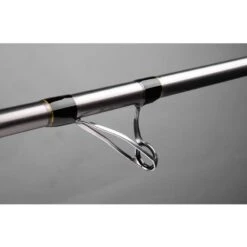 Spro Selion Surf 4.5m 100-200g -Vissen Product Winkel 2013207Spro Selion Surf 4 5m 100 200g 2