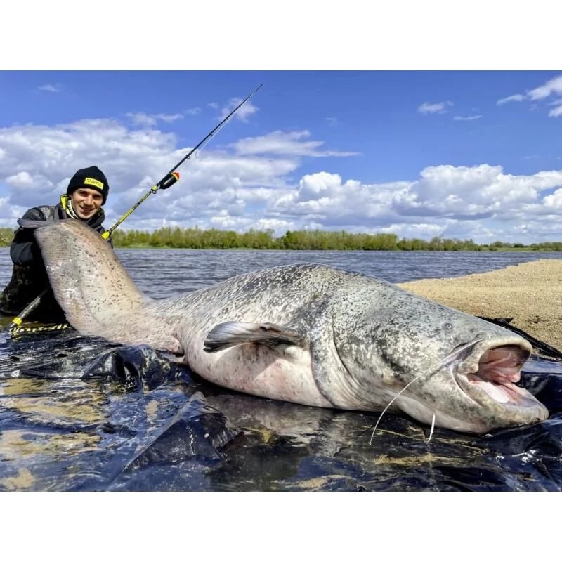 Black Cat Perfect Passion Vertical 1.80m 6 Black Cat Perfect Passion Vertical 1.80m - Afbeelding 6