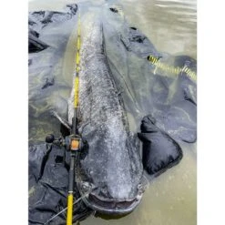 Black Cat Cast 301LH Reel -Vissen Product Winkel 4017421Black Cat Cast 301LH Reel 6