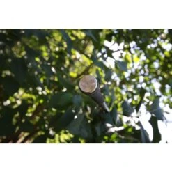 Nash Entity 12ft 3.00lbs Full Shrink 9 Nash Entity 12ft 3.00lbs Full Shrink -Vissen Product Winkel 4324471Nash Entity 12ft 3 00lbs Full Shrink 2